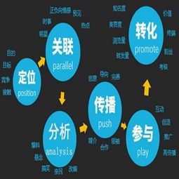 专业公司诚信经营,上海精准营销推广收费标准